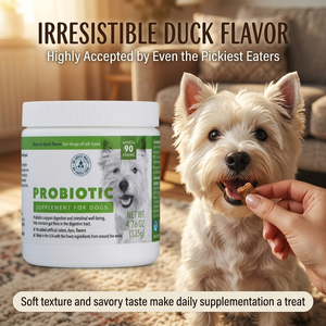 โปรไบโอติกสำหรับสุนัขชนิดเม็ด พรีเมียม เพื่อสุขภาพลำไส้ที่มั่นคง ช่วยส่งเสริมสุขภาพลำไส้ บำรุงระบบย่อยอาหาร พร้อมสารอาหารเสริม - Product Image 5