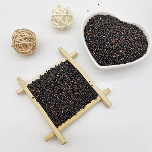 Graines <span class=keywords><strong>de</strong></span> Millet Noir Non Décortiquées (Nouvelle Récolte) pour Oiseaux – Vente en Gros - Product Image 3
