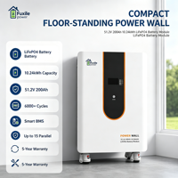 Batterie de stockage murale modulaire évolutive LiFePO4 51.2V 200Ah 10.24kWh 6000+ cycles avec prise en charge BMS intelligent