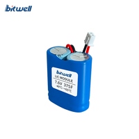 Module de condensateur lithium-ion BITWELL durable à bas prix, série 2, 5,4V-8,4V, 10F-375F, protection BMS, température de fonctionnement -40~+65°C