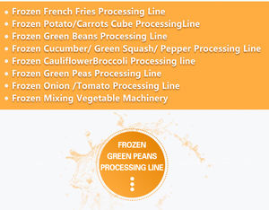 Ligne de lavage pour tomates cerises / chou rouge / chou frisé à congélation rapide - Product Image 5