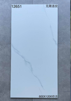 Carreaux de céramique imitation pierre moderne mate 600x1200 mm, antidérapants, antibactériens, résistants à l'usure pour salle de bain, balcon, cour