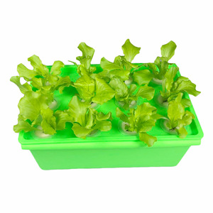 Petits kits de culture hydroponique écologiques en plastique PP, pots carrés à 12 trous, style ferme, pour <span class=keywords><strong>la</strong></span> maison <span class=keywords><strong>et</strong></span> <span class=keywords><strong>le</strong></span> jardin, intérieur/extérieur - Product Image 5