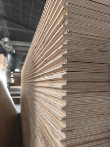 Di alta qualità 18 <span class=keywords><strong>mm</strong></span> <span class=keywords><strong>3</strong></span>/4 \ "foglio di legno <span class=keywords><strong>compensato</strong></span> di pino scanalato 4x8 per il tetto del soffitto linguetta e scanalatura T & G per progetti di costruzione - Product Image 6