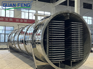 Liofilizador Industrial de Fresas al Vacío, Deshidratador de Alimentos para Frutas Secas - Product Image 4