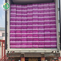 Fournisseur chinois de nouvelle récolte d'ail frais à bas prix pour la vente sur le marché colombien/chilien