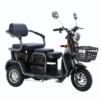 Tricycle électrique sans balais pour la route, scooter de mobilité 3 vitesses, moteur 500W, batterie 60V 20AH, télécommande, 3 roues, charge maximale 200kg
