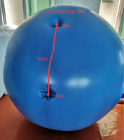 Nouveau : Ensemble de balles gonflables imperméables Myrtille 2025 avec globe de neige et design en arche, taille personnalisable