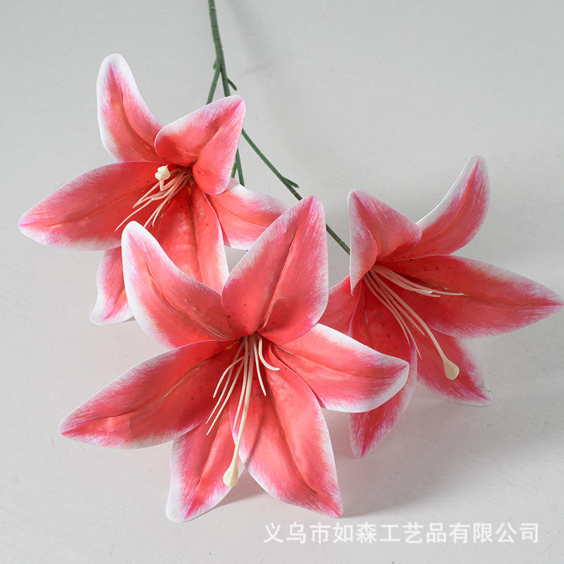 3 tête film lys rouge bord blanc