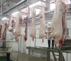 Rails de suspension pour viande de porc avec crochets, équipement d'abattoir de cochon moderne complet de 50 à 100