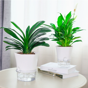 Pot de fleurs auto-arrosant transparent et simple pour l'intérieur, hydroponique, <span class=keywords><strong>sans</strong></span> <span class=keywords><strong>arrosage</strong></span> requis, avec design visible - Product Image 3