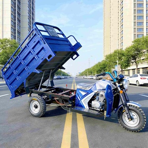 Motocicleta de 3 Ruedas de <span class=keywords><strong>Gasolina</strong></span> de 250cc Económica, Carrocería Resistente, Baja Tasa de Averías, para Uso a Largo Plazo - Product Image 2