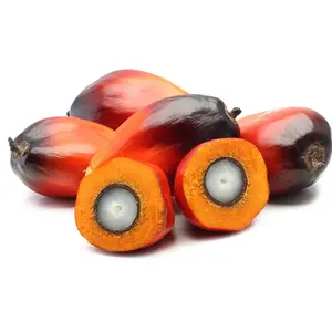 Organic Palm Kernel Oil, Food Grade