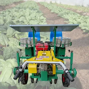 4 filas de cebolla, tomate, repollo, sembradora de plántulas, máquinas de trasplante para verduras