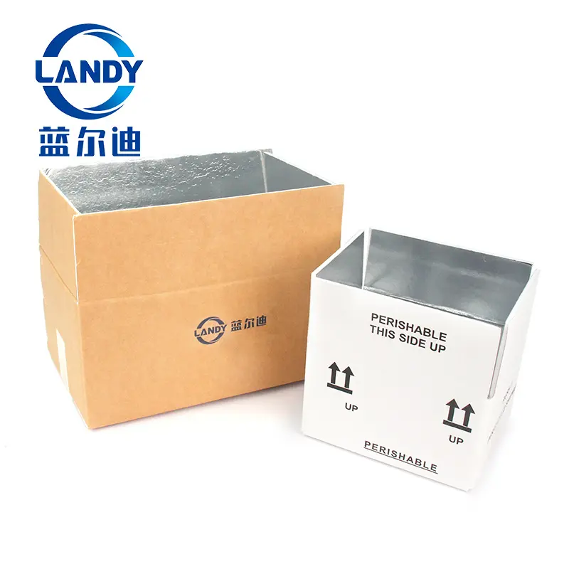 Sinh Thái cách điện vận chuyển hộp carton cho đông lạnh bao bì hộp