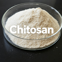 Poudre de chitosane de qualité supérieure pour le traitement de l'eau environnementale et les solutions pour les eaux usées industrielles