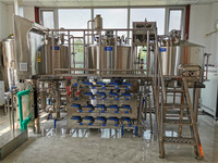 500L 2~4 Vaten Brouwerijsysteem Craft Beer Apparatuur PLC Drukvaten Motor