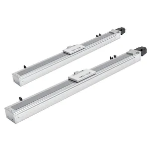 Kit de rail de guidage BCH17 750W 50-1250mm-Solution d'usinage de précision Glissière de guidage linéaire CNC Table de mouvement linéaire industrielle