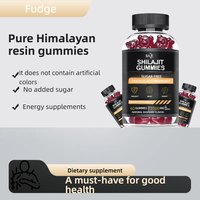 Gummies de Shilajit Naturel 3000mg Pur de l'Himalaya, Crinière de Lion, Vitamines et Minéraux pour le Soutien Immunitaire des Adultes