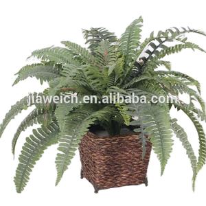 Hojas de Helecho Artificiales Ecológicas al por Mayor de Fábrica China, Tipo Árbol de Plástico y Tela, Altura Personalizada para Decoración de Interiores - Product Image 3