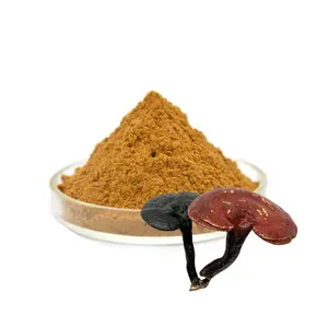 Preço baixo Extrato de ganoderma lucidum 20% polissacarídeos em pó extrato de micelio de ganoderma