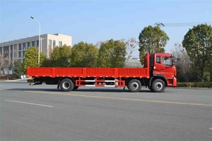 รถดัมพ์บรรทุกขนาด30ตันขับเคลื่อน6All 6ล้อปรับแต่งได้รถดัมพ์คนซาอุดิอาระเบีย - Product Image 3