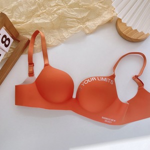 Lingerie Ajustement Mince Gros Seins Petit Europe et Amérique Rassembler Femmes Plus La Taille Dentelle Soutien-Gorge Couverture - Product Image 5