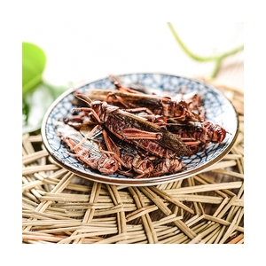 Grasshopper, Insetti Commestibili Best Seller, Mangime per Animali, Grillo Ecologico Fresco - Product Image 5