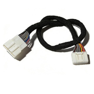 Procesamiento Personalizado del Arnés de Transmisión de Señal DJ7021 para el Control de Puertas de Automóviles - Product Image 1