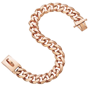 Bouledogue français chaîne de chien scintillante collier chaîne cubaine 19mm collier de chien en métal gros chien chaîne colliers laisse - Product Image 2