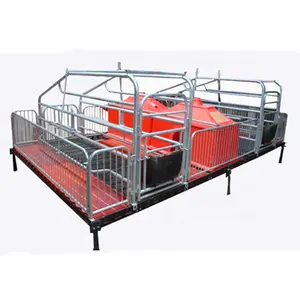 Stainless Steel Farrowing Crates for Pig Farming Sow Feeder and Grate Floor for Home Use and Manufacturing Plants