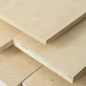 Lámina de Madera Contrachapada de Abedul de Primera Calidad, 8 pies x 4 pies, 3 mm, Ligera, E0, Formaldehído, Ecológica, Diseños de Puertas de Madera Contrachapada para Autocaravanas - Product Image 2