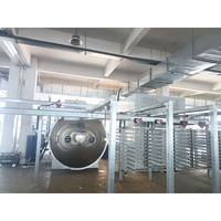 Lyophilisateur alimentaire commercial, sécheur par congélation automatique PLC, acier inoxydable 304, haute efficacité, à vendre, directement du fabricant