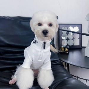 पालतू कपड़ों के सामान लक्जरी पालतू जानवरों की आपूर्ति बुटीक चार फीट ठोस पैटर्न शीतकालीन पिप ब्रांड डिजाइनर कुत्ते के कपड़े - Product Image 2