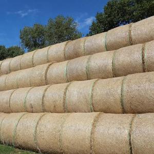 Filet à <span class=keywords><strong>foin</strong></span> pour chevaux à <span class=keywords><strong>prix</strong></span> avantageux, à alimentation lente, résistant aux UV, 100% HDPE, filets en plastique personnalisés, filet pour ensacheuse à <span class=keywords><strong>foin</strong></span>, enroulement rond - Product Image 6