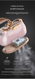 Plancha de Vapor Portátil Little Star OEM de 1200W con Gran Capacidad de 0.8L para Uso Doméstico, Garantía de Un Año - Product Image 6