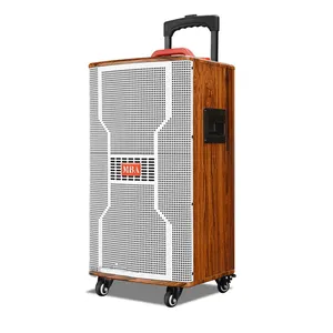 Han xiang 10 Zoll 3-Wege-Tieftöner DJ-Soundsystem Lautsprecher Karaoke-Lautsprecher Box System Trolley-Lautsprecher mit Batterie