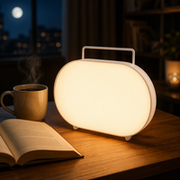 Lampu Sinar Matahari 11000Lux, 4 Tingkat Kecerahan & Suhu Warna & Timer, Lampu Siang Hari Kontrol Sentuh dengan Fungsi Memori