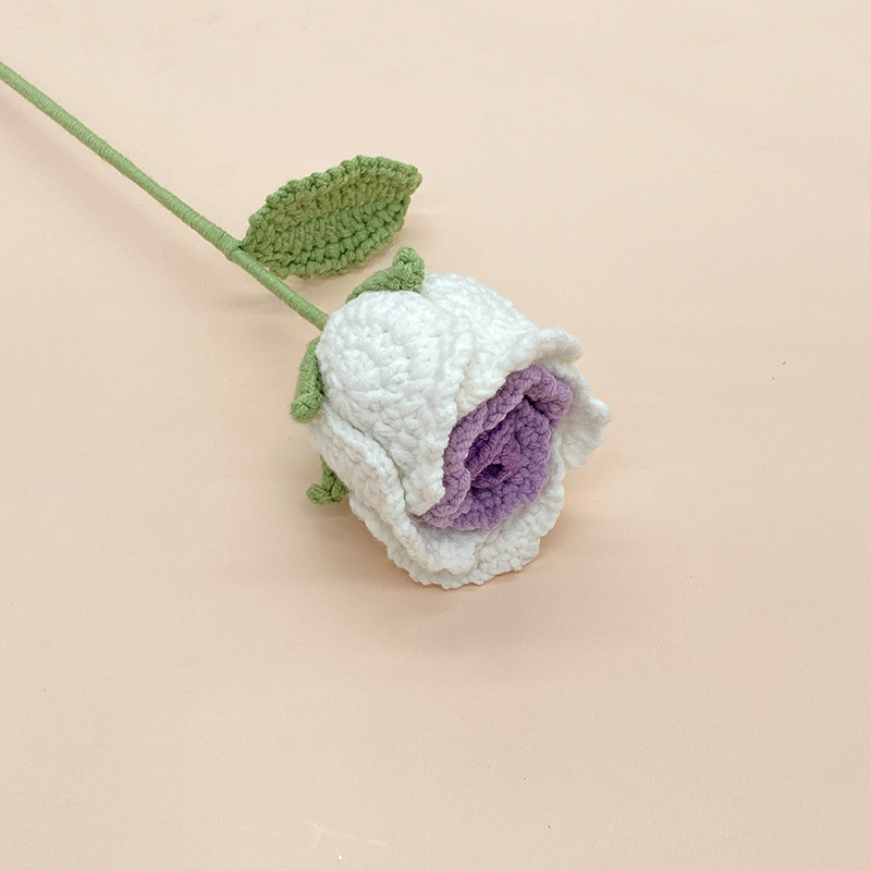 rosella rosa sfumata viola