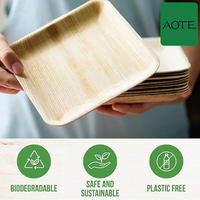 Ensemble d'assiettes jetables biodégradables en feuilles de palmier carrées en bambou, assiettes compostables en feuilles de palmier Areca pour fête de mariage ou camping