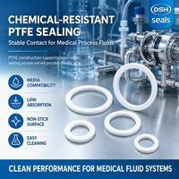 Fabricant de joints en PTFE sur mesure pour l'industrie médicale, joint d'étanchéité en téflon de précision, haute performance