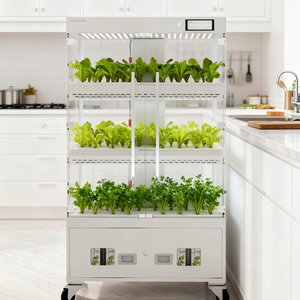Sistema <span class=keywords><strong>de</strong></span> <span class=keywords><strong>Cultivo</strong></span> Hidropónico Inteligente <span class=keywords><strong>de</strong></span> <span class=keywords><strong>Interior</strong></span> con Gabinete <span class=keywords><strong>de</strong></span> Vidrio <span class=keywords><strong>de</strong></span> 3 Niveles, Habilitado para WiFi, Equipo <span class=keywords><strong>de</strong></span> <span class=keywords><strong>Cultivo</strong></span> sin Suelo Automático - Product Image 5
