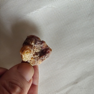 Goma de resina <span class=keywords><strong>Picea</strong></span> Asperata seca cruda natural <span class=keywords><strong>Picea</strong></span> Asperata a la venta - Product Image 5