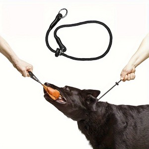 Collier de dressage et de travail pour chiens en nylon solide 5 mm, personnalisable, simple et compact, pour la vente en gros en France - Product Image 1