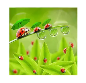 5d Diamond Painting Beetle On Grass Factory Full Diamond Paint Mosaic Handmade Diy Canvas Picture Custom Canvas Paintings Sale