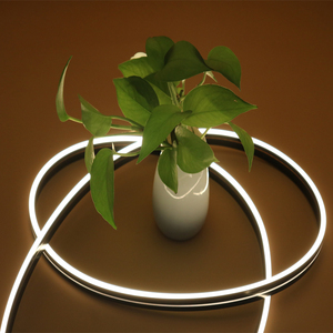 Đèn LED Tùy Chỉnh 06*12 DC24V/12V Đèn Thông Minh Ứng Dụng Tùy Chỉnh Trong Nhà Ngoài Trời Đèn Led Rgb Chống Nước Đèn Led Neon Flex - Product Image 4