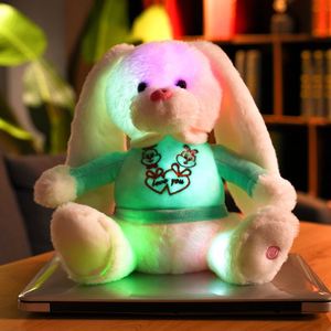 Juguetes de Peluche de Conejo de Pascua con Luz, Decoración de Conejo de Pascua Sublimado, Manualidades para Regalos 2024 - Product Image 3