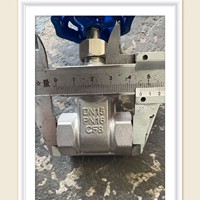 Vannes de service manuelles en acier inoxydable 304 pour l'eau, DN15-DN25, testées 48h/72h en pulvérisation de sel pour Dubaï/Brésil