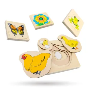 Детские деревянные игрушки Монтессори, 3D пазл, жизненный цикл животных, растение, заготовка, лягушка, Бабочка, подсолнух