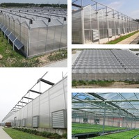 Serre agricole multi-travées en polycarbonate avec structure en acier galvanisé à chaud et système d'isolation électrique pour plantes